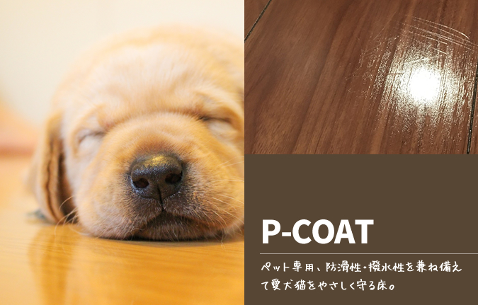 P-COAT（PJSコート）